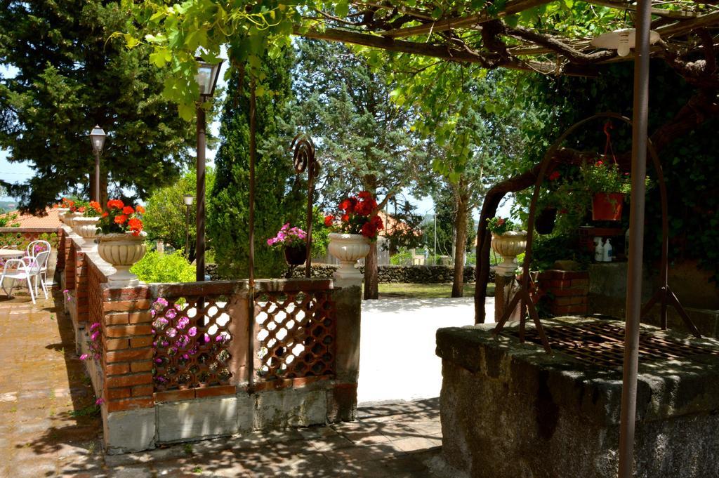 Villa Bonaccorso - Antica E Maestosa Villa Con Piscina Ai Piedi Dell'Etna Viagrande Bagian luar foto