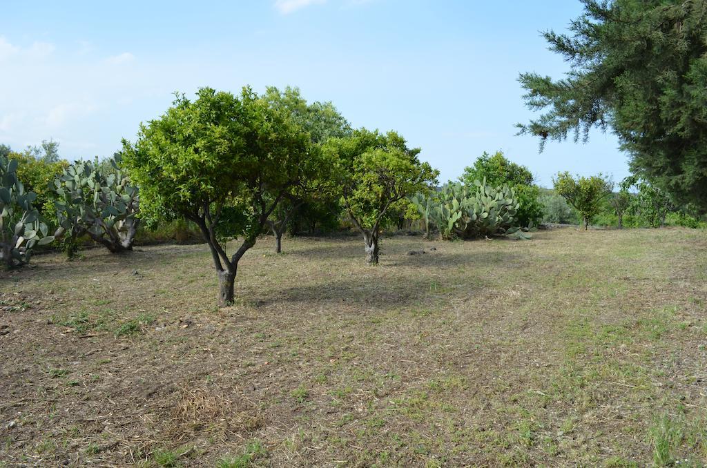 Villa Bonaccorso - Antica E Maestosa Villa Con Piscina Ai Piedi Dell'Etna Viagrande Bagian luar foto
