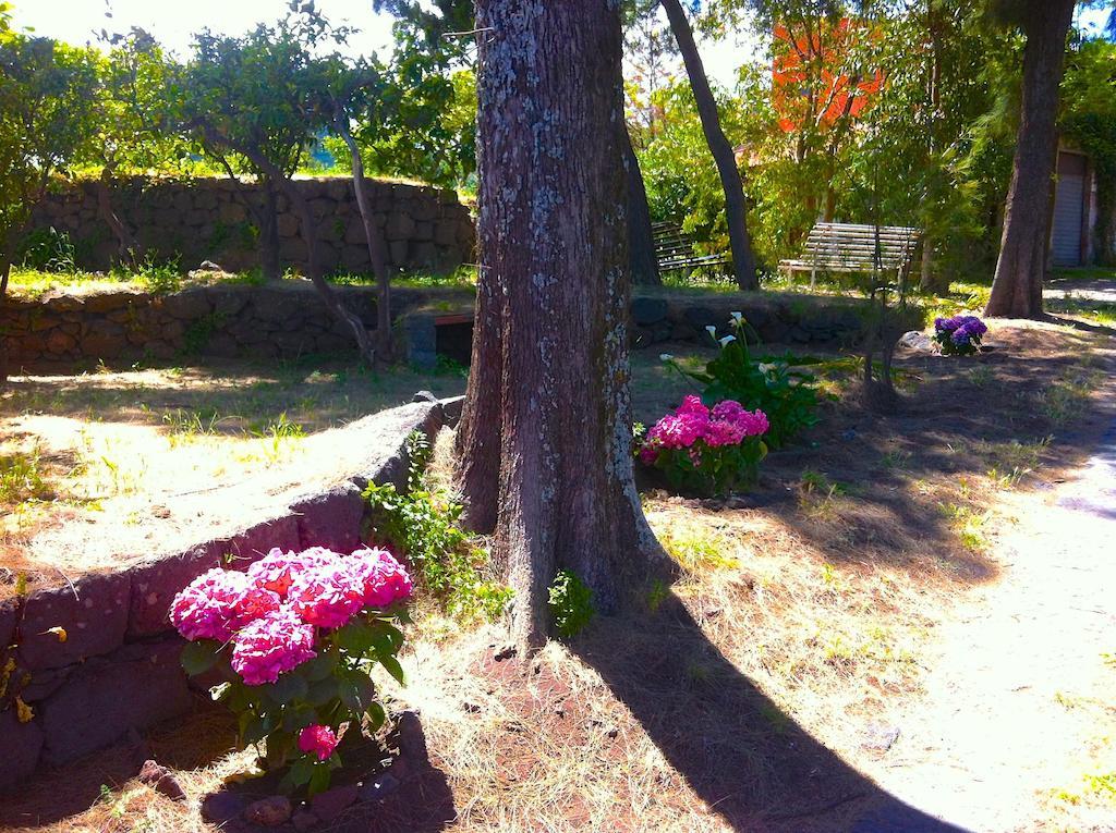 Villa Bonaccorso - Antica E Maestosa Villa Con Piscina Ai Piedi Dell'Etna Viagrande Bagian luar foto