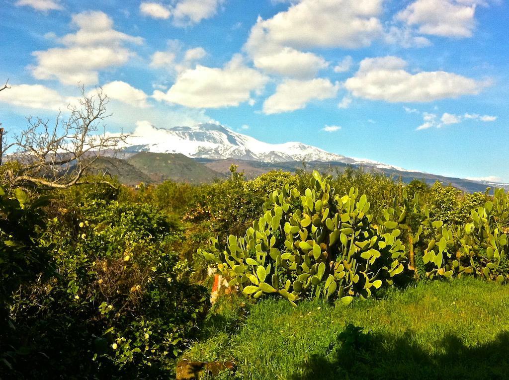 Villa Bonaccorso - Antica E Maestosa Villa Con Piscina Ai Piedi Dell'Etna Viagrande Bagian luar foto