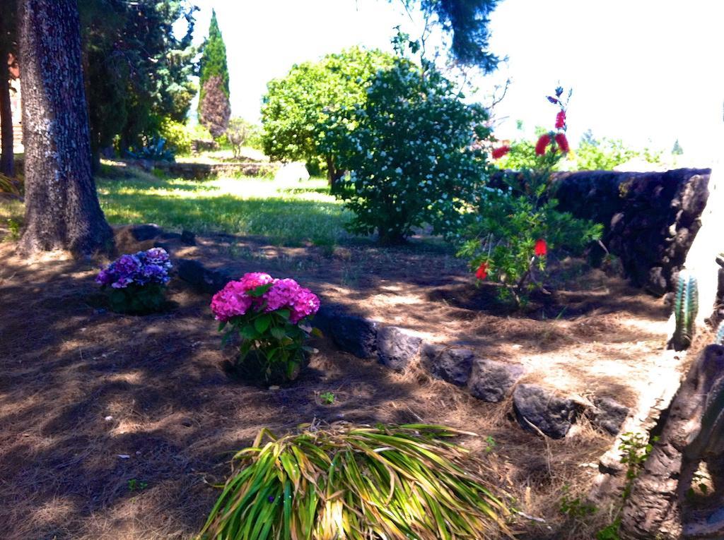 Villa Bonaccorso - Antica E Maestosa Villa Con Piscina Ai Piedi Dell'Etna Viagrande Bagian luar foto