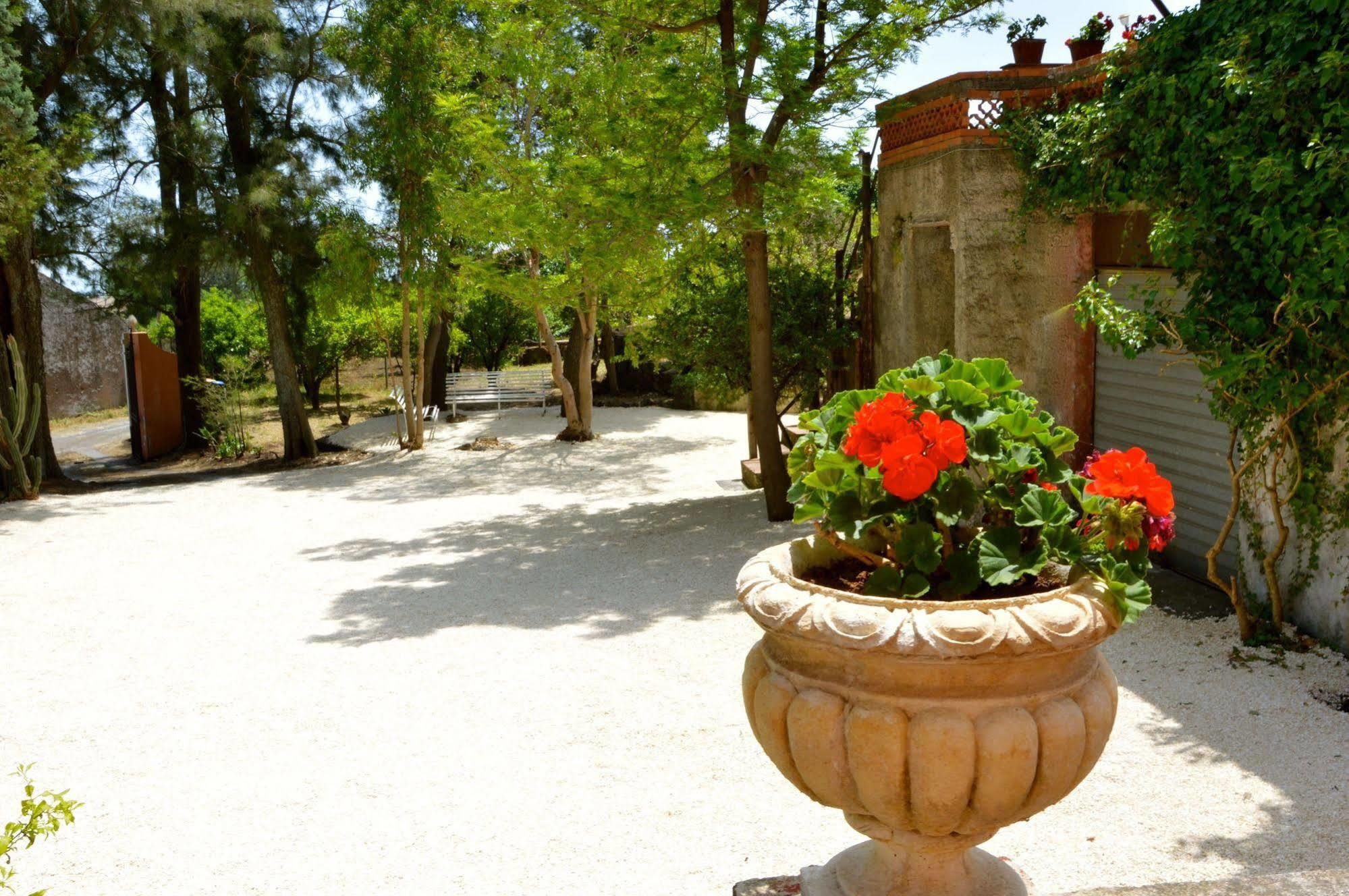 Villa Bonaccorso - Antica E Maestosa Villa Con Piscina Ai Piedi Dell'Etna Viagrande Bagian luar foto