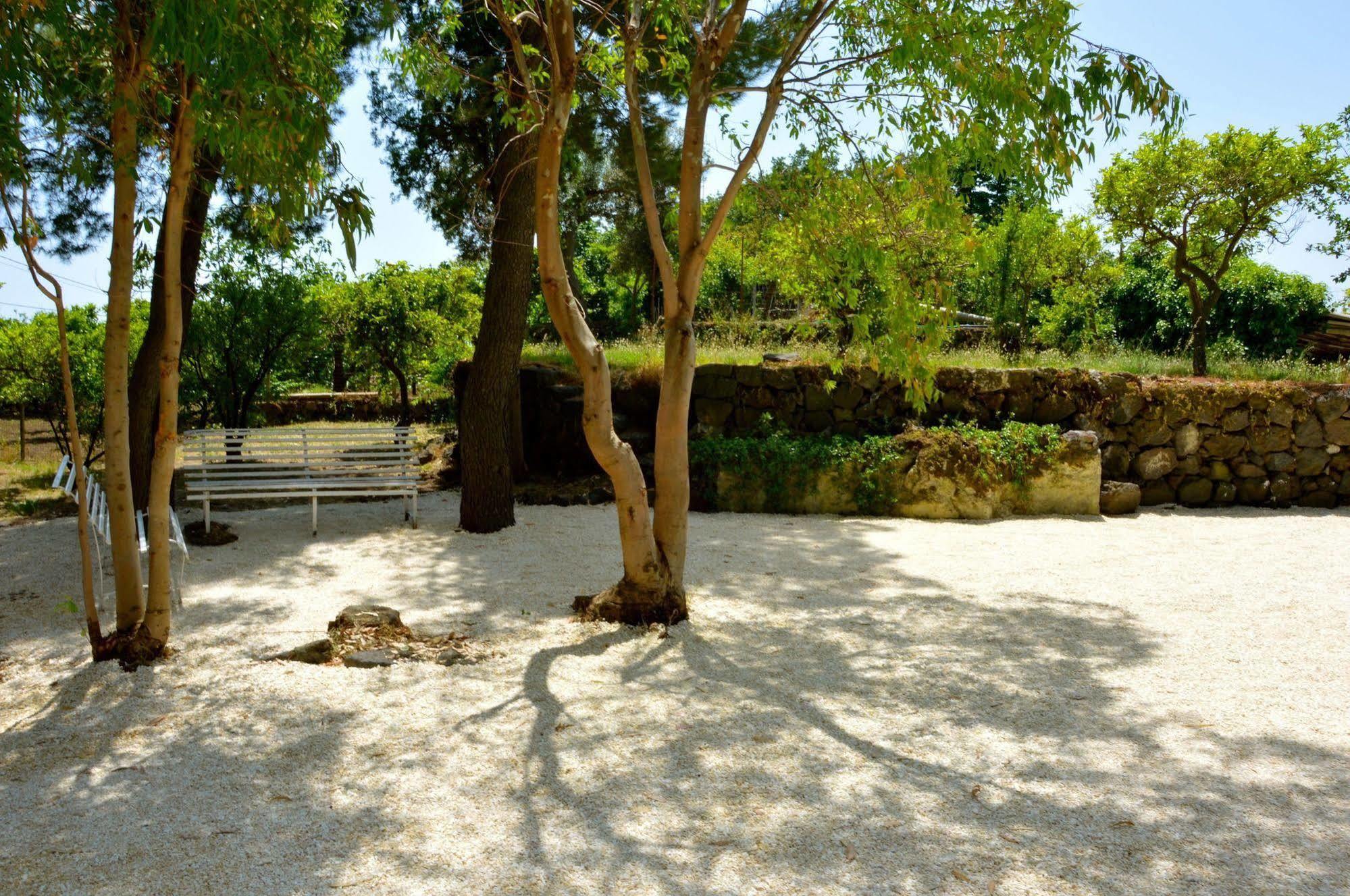 Villa Bonaccorso - Antica E Maestosa Villa Con Piscina Ai Piedi Dell'Etna Viagrande Bagian luar foto